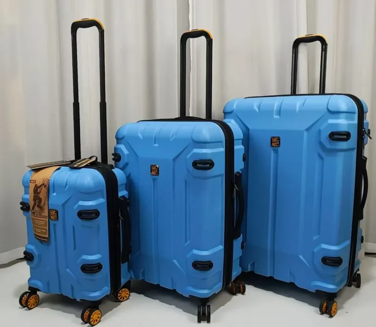 BritBag Carry-On Reviews - Customer Experiences